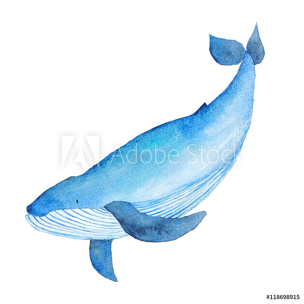 1000x1000 Photo Amp Art Print Blue Whale Watercolor Hand Painted Illustration