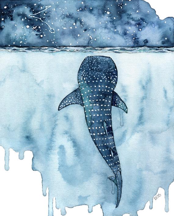 570x709 Watercolor Painting Whale Shark Painting Whale Painting Etsy