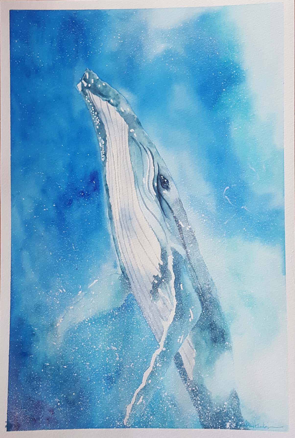1205x1789 Watercolor Whale Tail Ocean Time Lapse Painting Video Alicia Dr