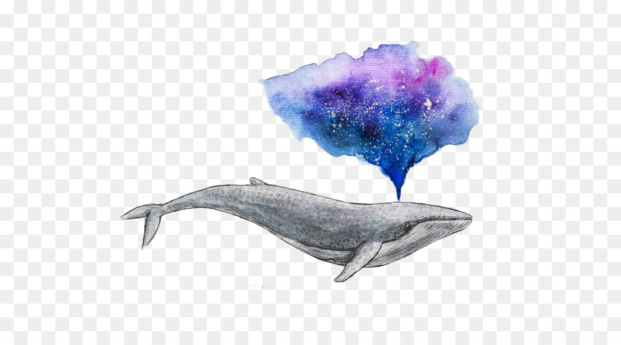900x500 Watercolor Painting Drawing Whale Art