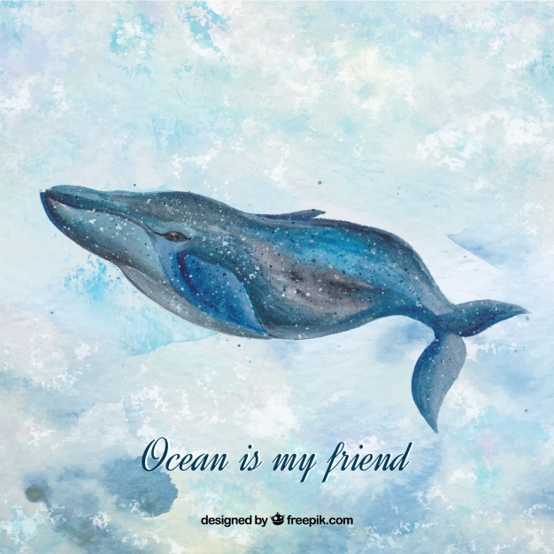 626x626 Watercolor Whale Background With Message The Ocean Is My Friend