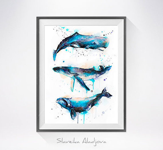 570x525 Whale Watercolor Painting Print