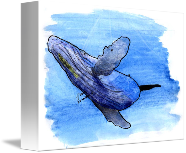 650x535 Humpback Whale Watercolor By M. Evripidou