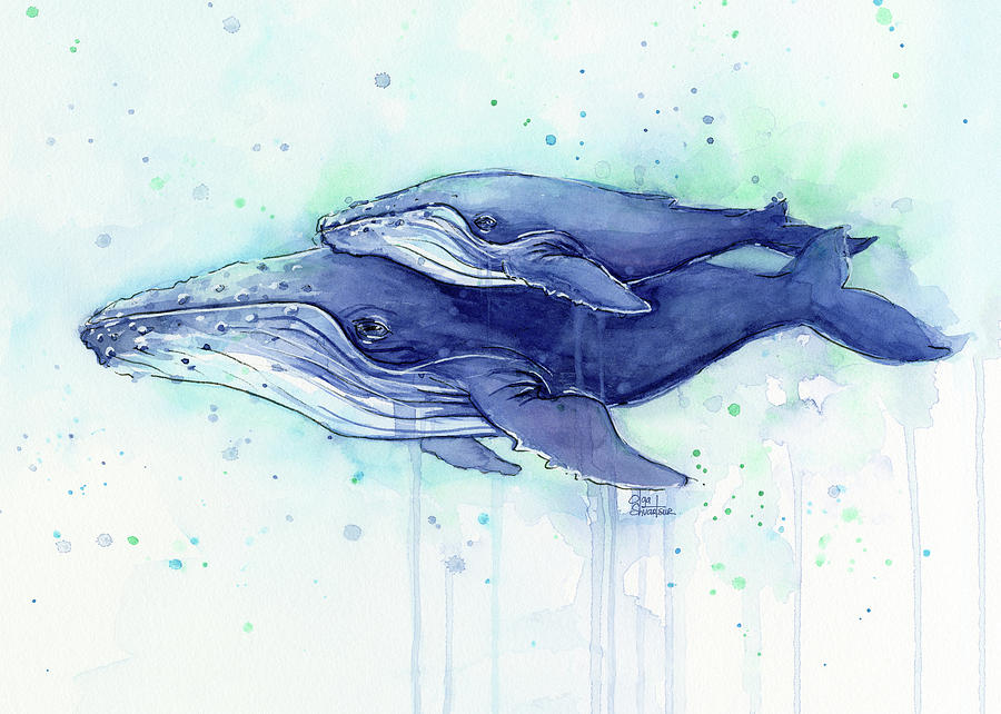 900x642 Humpback Whale Mom And Baby Watercolor Painting By Olga Shvartsur