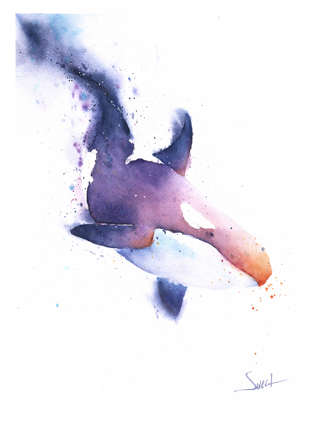 650x867 Killer Whale Original Watercolor Painting Watercolor Animal