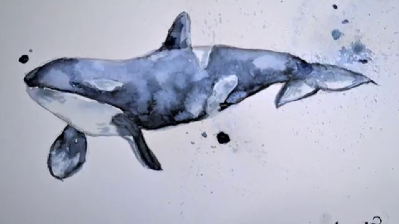 1280x720 Painting A Whale With Watercolor