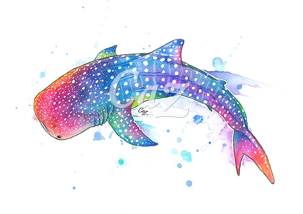 626x443 Rainbow Whale Shark Watercolor Painting By Cazziart