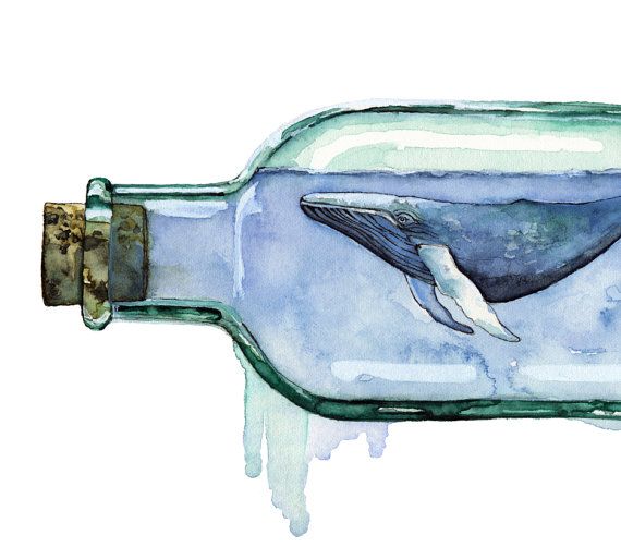 570x502 Watercolor Painting, Whale Painting, Whale Art, Whale In Bottle