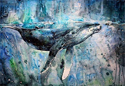 425x293 Tomorrow Sunny 24x36 Inch Art Silk Poster Whales