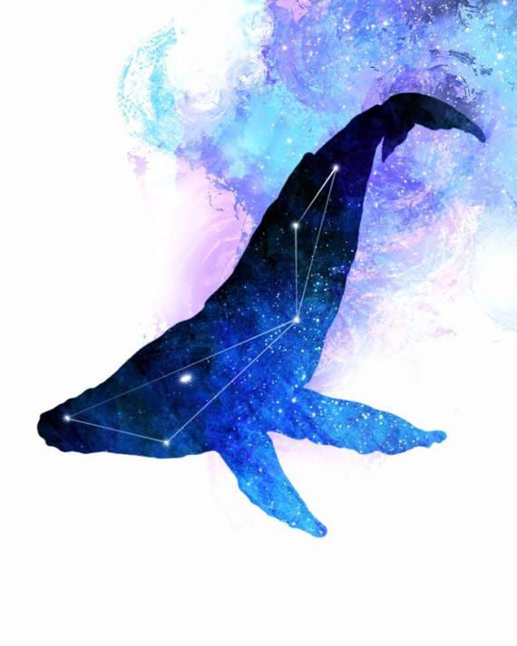570x713 Whale Painting Space Whale Whale Constellation Whale Ocean In