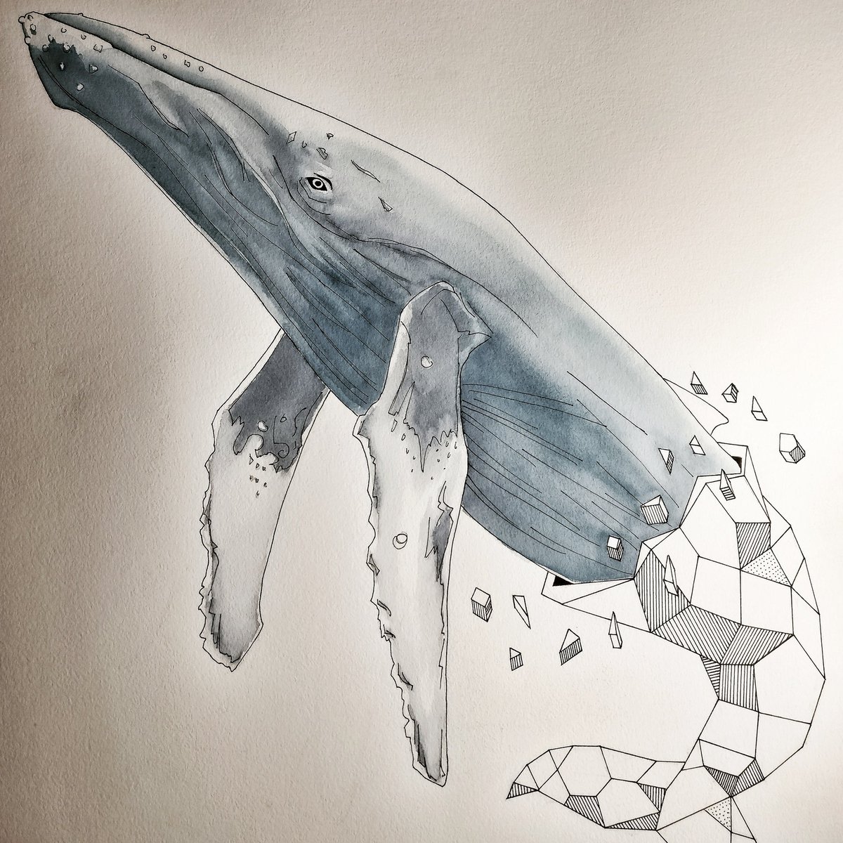 1200x1200 Luisetei On Twitter Whalicious