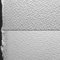 200x200 Handprint Whatman