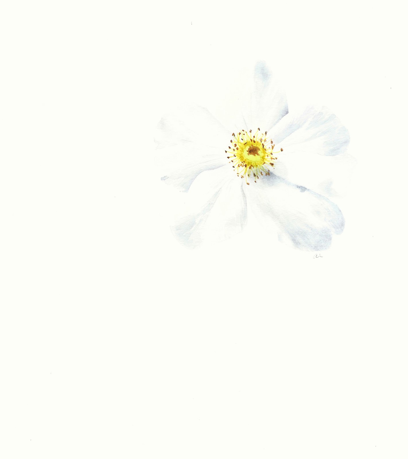 White Flower Watercolor