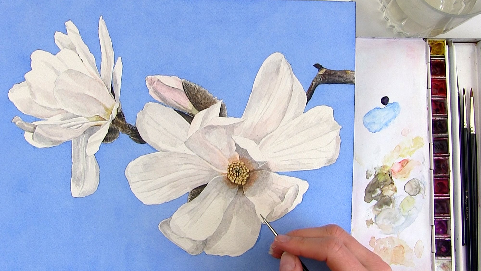 2000x1126 How To Paint A Realistic White Magnolia Flower In Watercolor