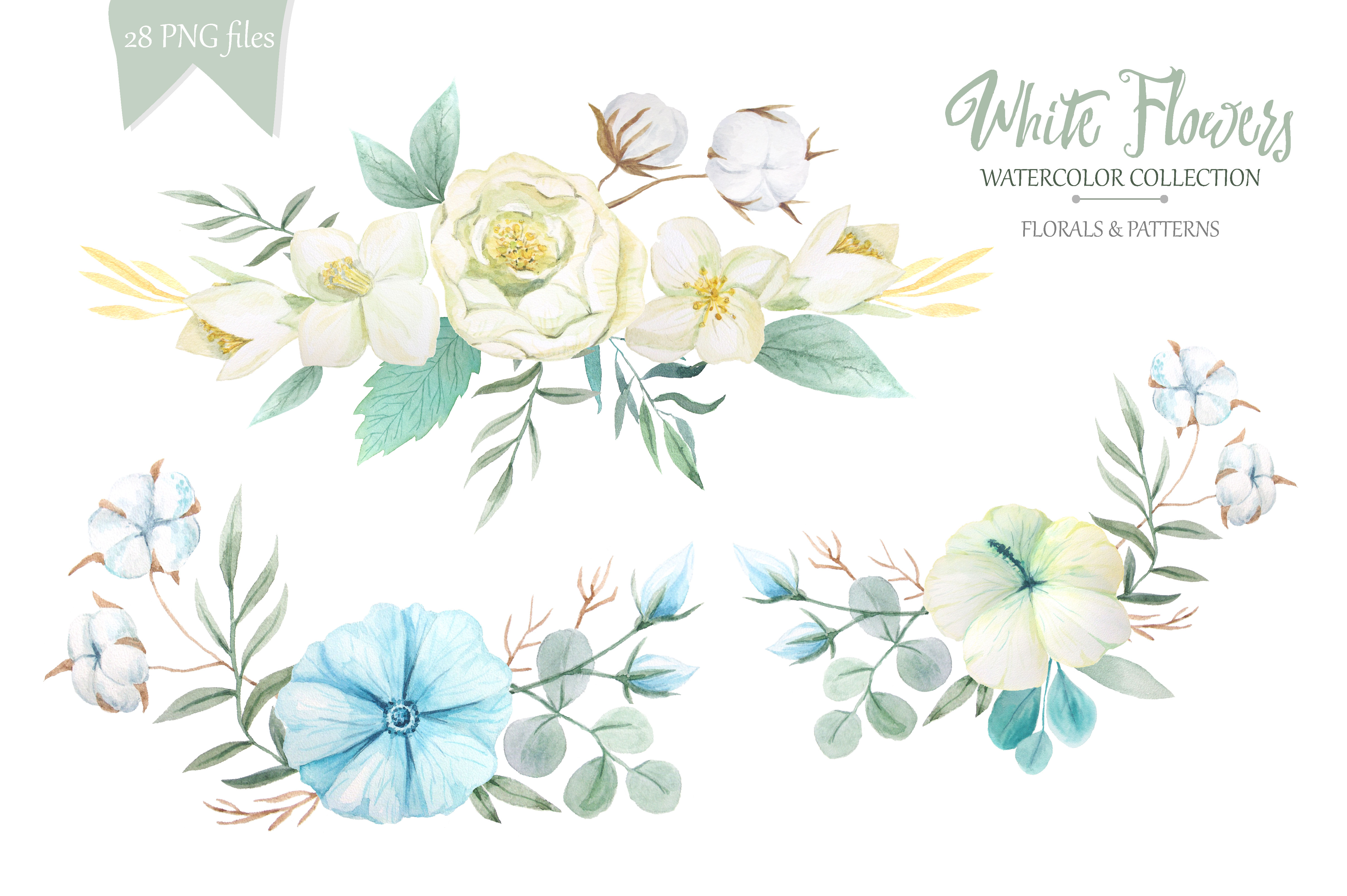 4834x3217 Watercolor White Flowers Set