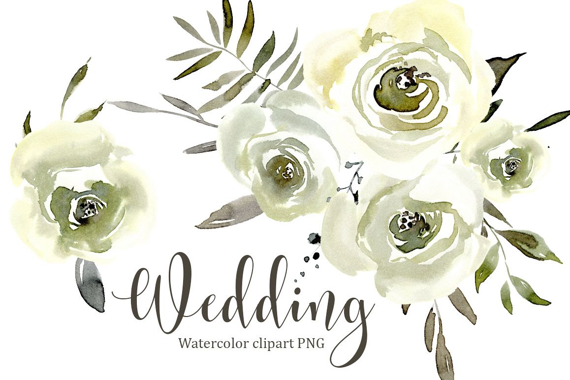 1158x772 Watercolor White Roses Flowers Png Set