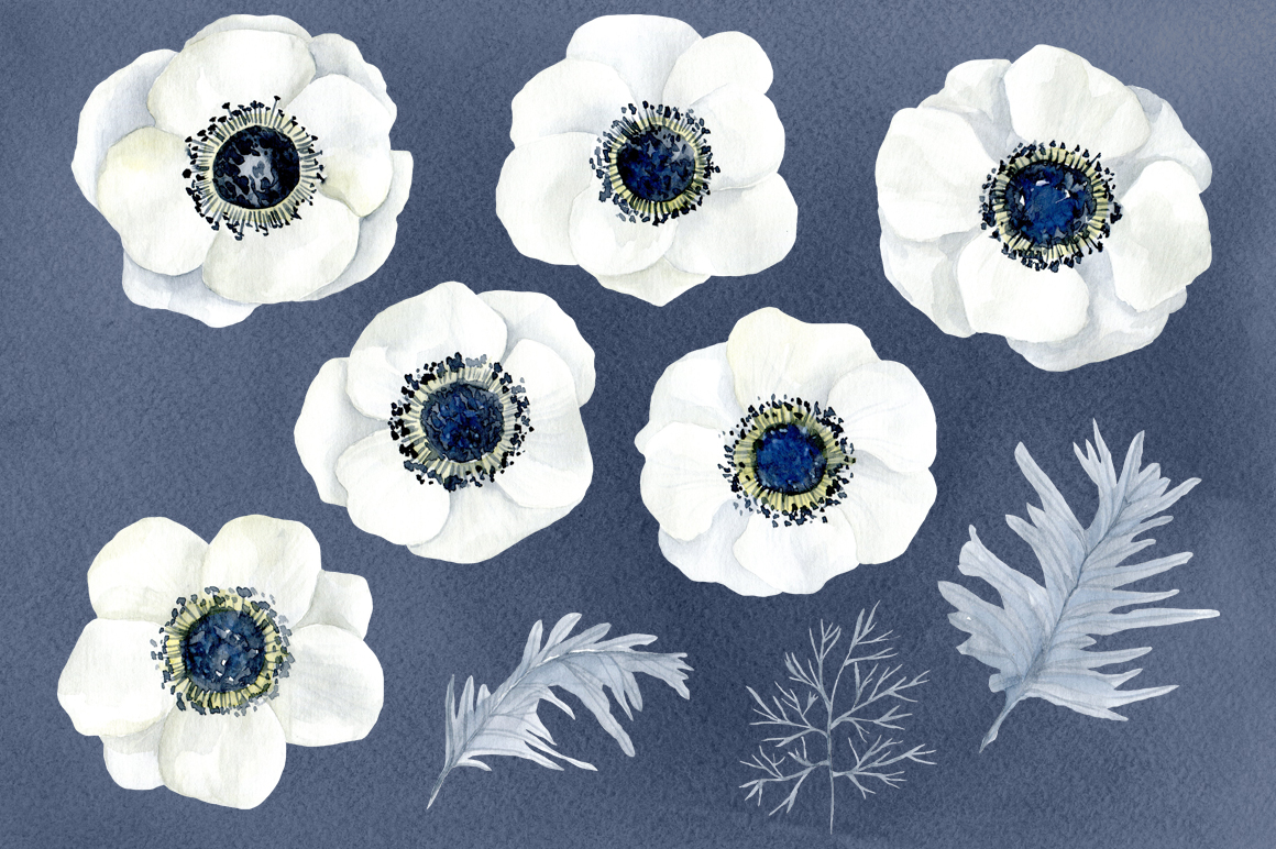 1160x772 Watercolor Anemone White Flowers By Watercolorflowers