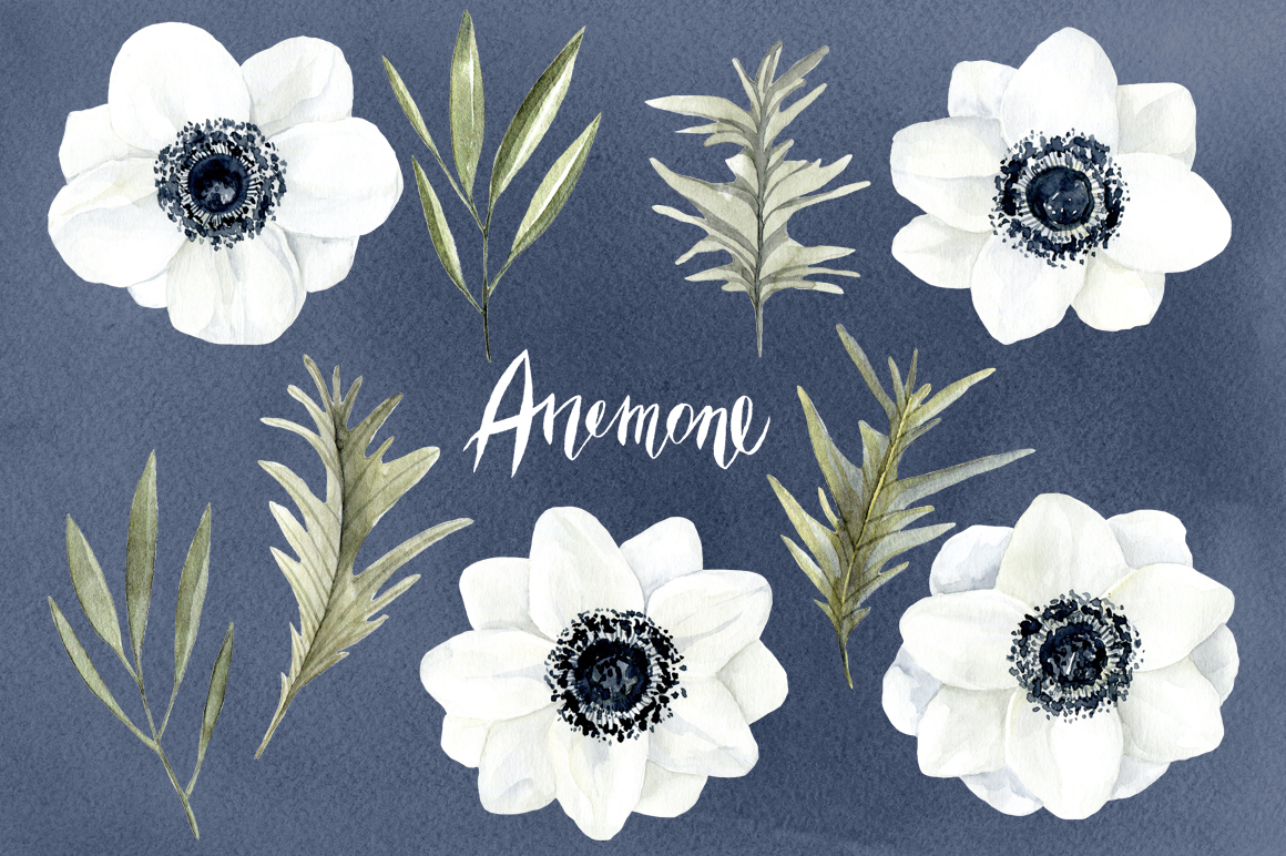 1160x772 Watercolor Anemone White Flowers