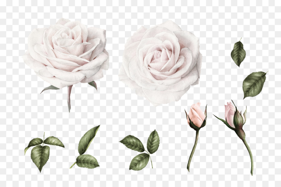 900x600 Wedding Invitation Watercolor Painting Flower White Clip Art