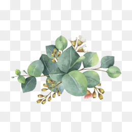 260x260 White Flower Png Images Vectors And Psd Files Free Download On