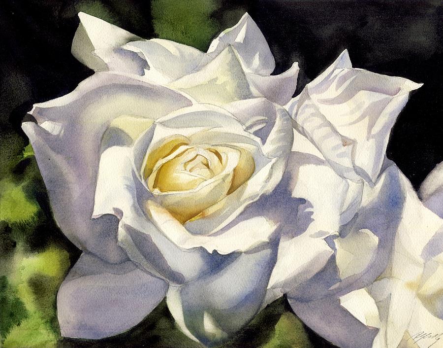 900x706 White Rose Watercolor Painting By Alfred Ng
