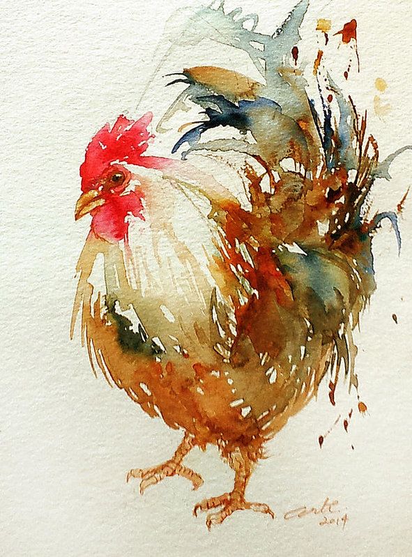 591x799 White Knight Rooster Art Print By Arti Chauhan