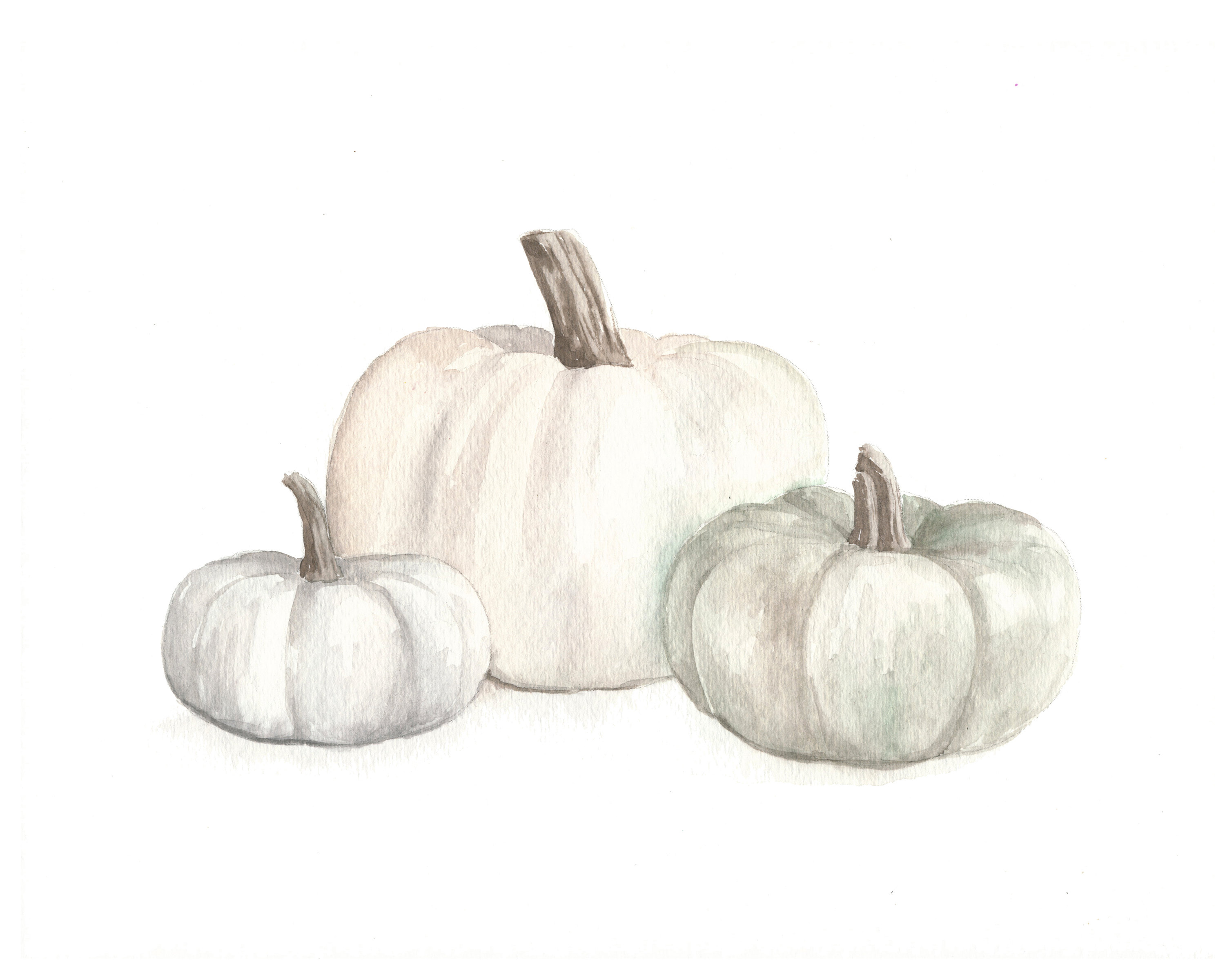 3000x2400 White Pumpkin Watercolor Tutorial