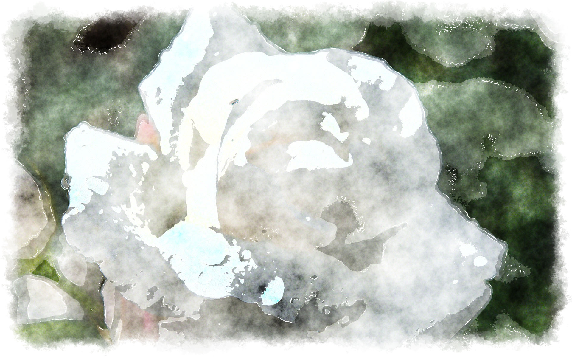 1920x1201 Watercolor Pure White Rose