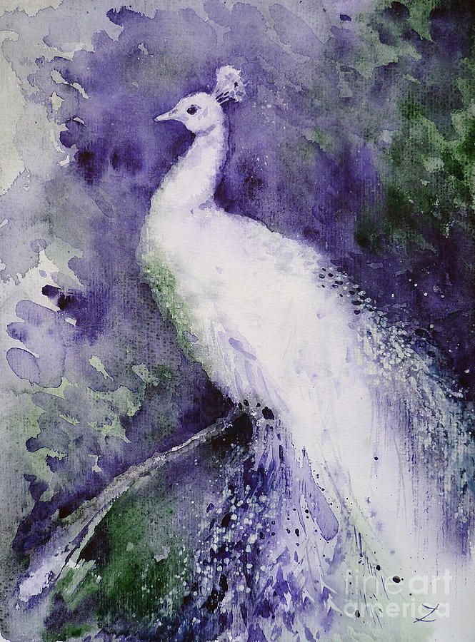 665x900 White Peacock Painting