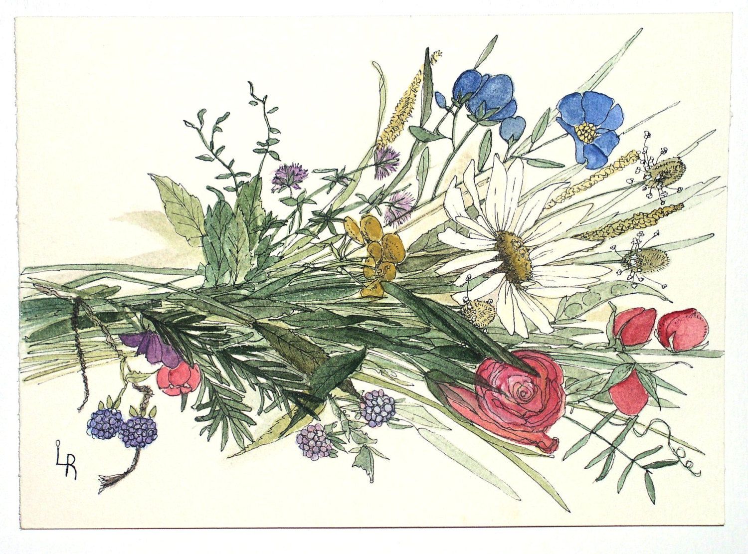 1500x1111 Watercolor Painting Illustration Botanical Garden Flowers