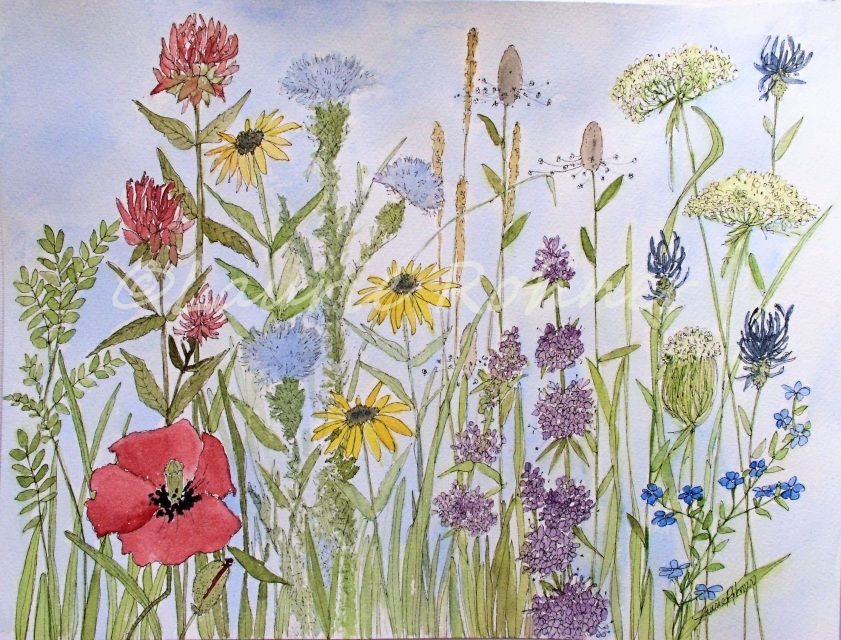841x640 Wildflower Garden Watercolor Illustration Nature Art Original