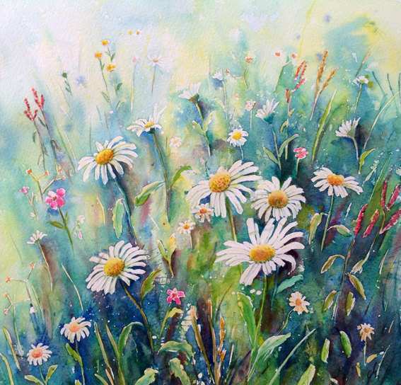 567x544 Wildflower Painting Best Of Original Watercolour Painting Daisy