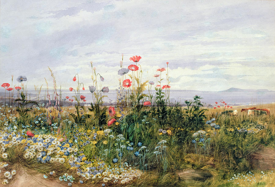 900x613 Wildflowers With A View Of Dublin Dunleary Painting By A Nicholl