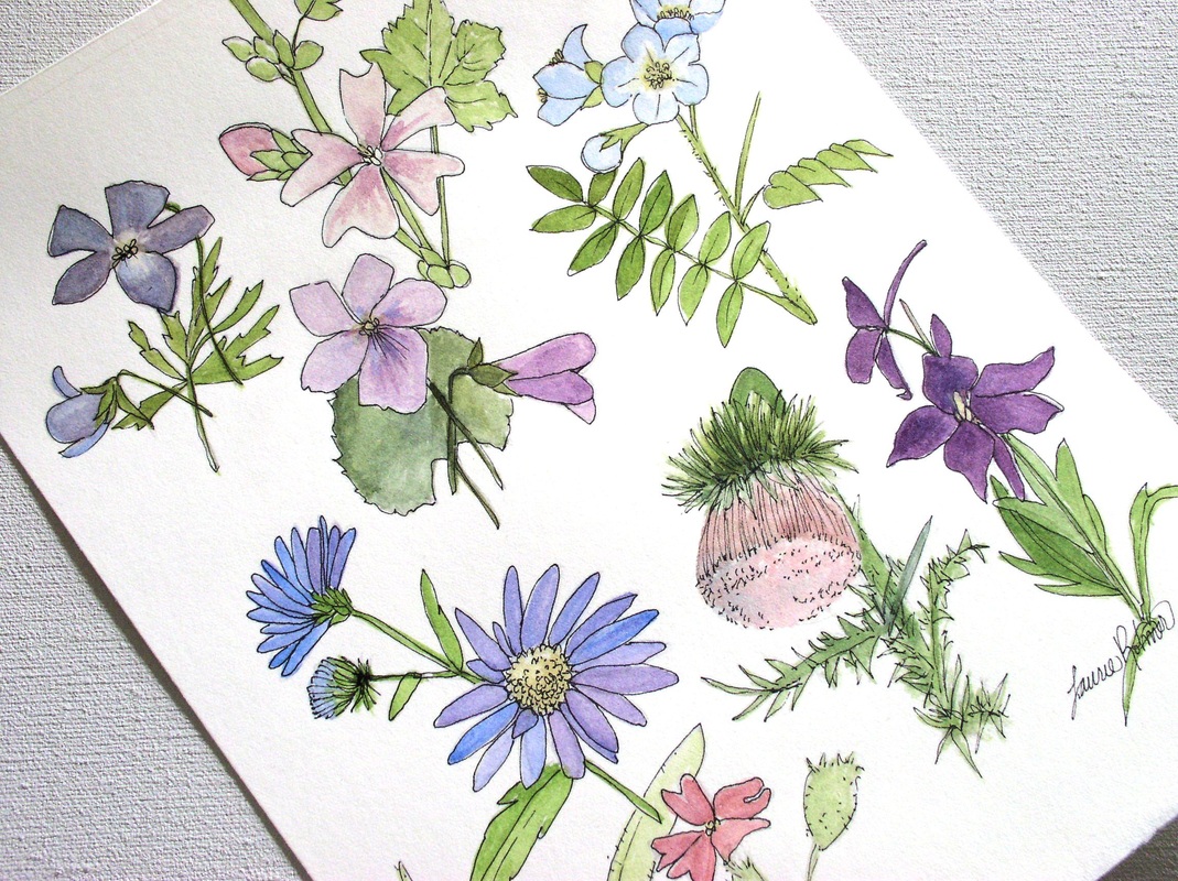 1069x800 Botanical Asters Violets Thistles Phlox Watercolor Floral