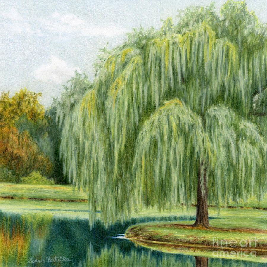 900x900 Under The Willow Tree Painting By Sarah Batalka