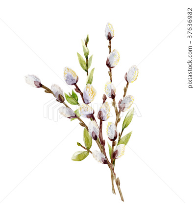 396x450 Watercolor Willow Tree Branches