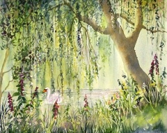 240x191 Watercolour Paintings