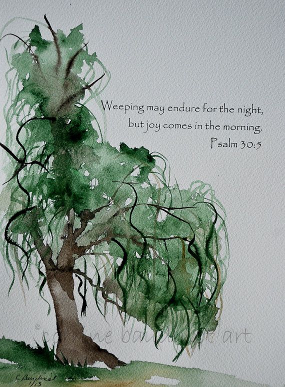 570x774 Weeping Willow Tree Watercolor Painting With Bible Verse Green