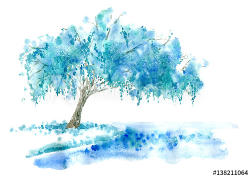 500x354 Weeping Willow On The Lake. Blue Tree. Watercolor Hand Drawn