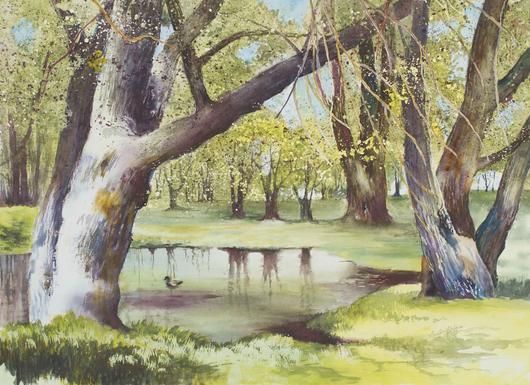 530x385 Spring Willows Watercolor Painting Lake Effect Gallery