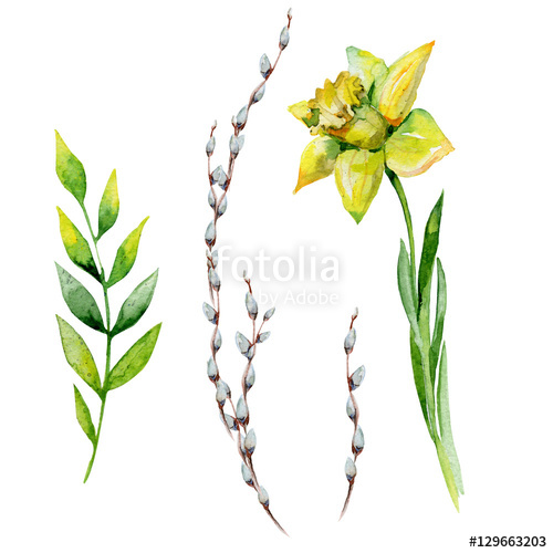 500x500 Watercolor Easter Set With Pussy Willow, Herbs And Daffodil. May