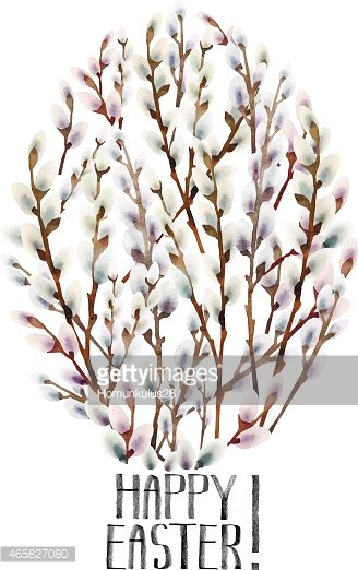 328x522 Watercolor Pussy Willow In Egg Shape Premium Clipart