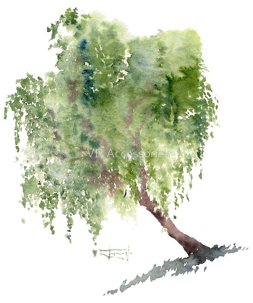 838x1000 Watercolor Drawing Of Willow By Vb Accessories Redbubble