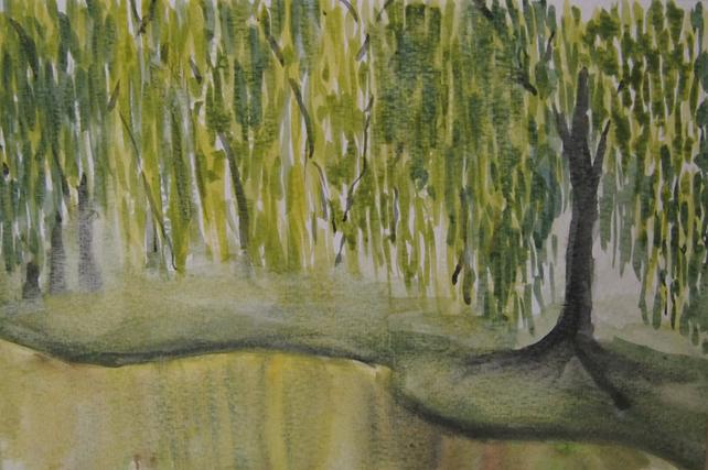 642x427 Weeping Willow Watercolor Print Etsy