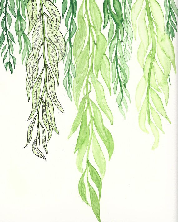 570x713 Willow Leaves Digital Print Watercolor Painted Leaves Tattoos