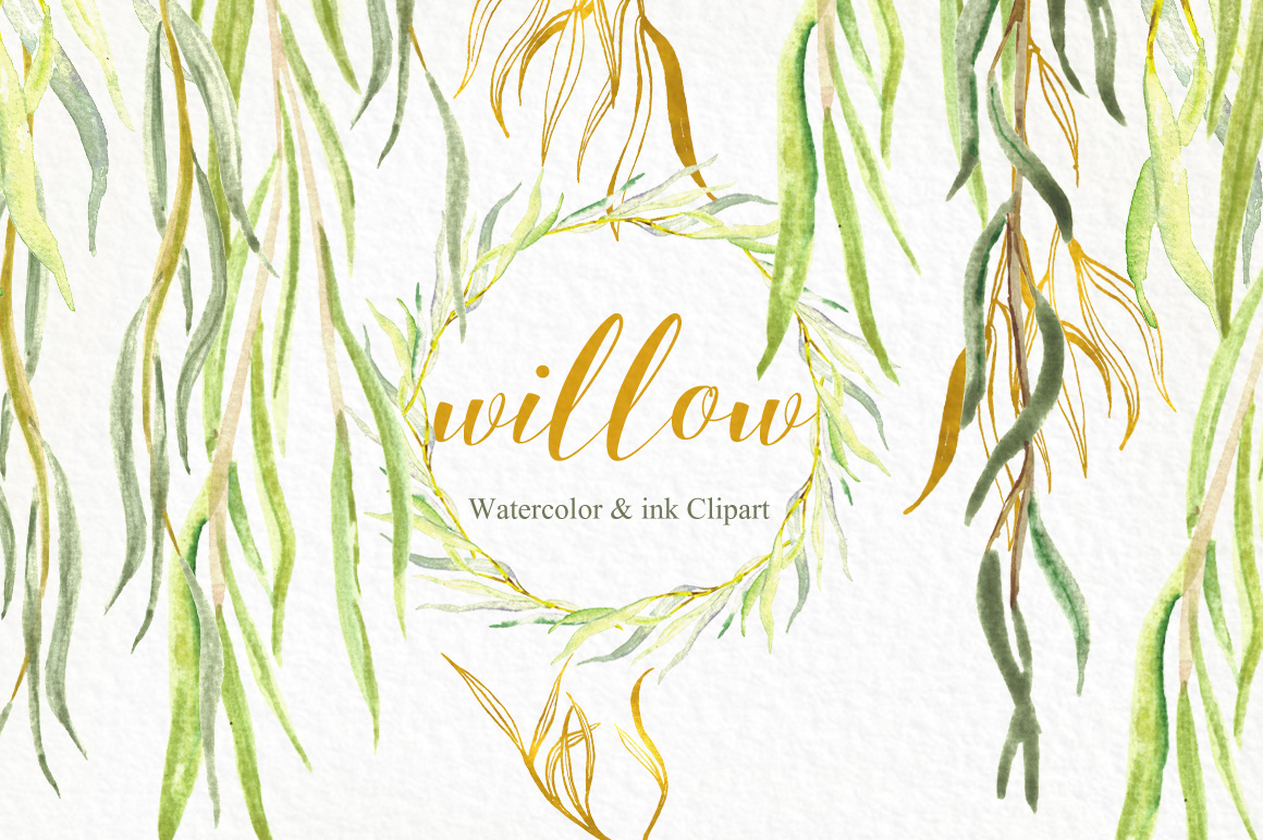 1160x772 Willow Branches. Watercolor Clipart. By Labfcreations