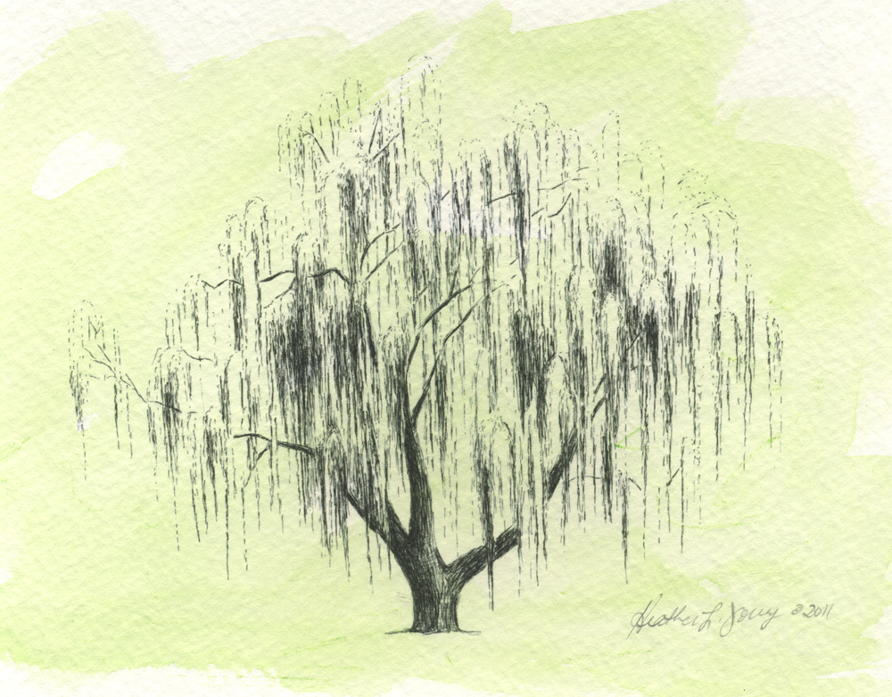 1000x782 Weeping Willow Flyoung Studio