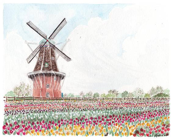 570x456 Windmill Art Print Windmill Island Windmill Watercolor Etsy