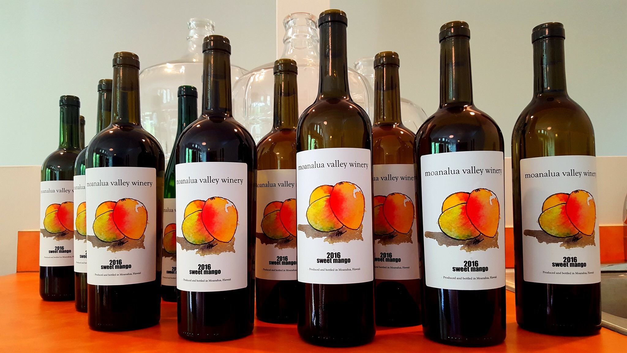 2048x1152 Watercolor Wine Jlieu