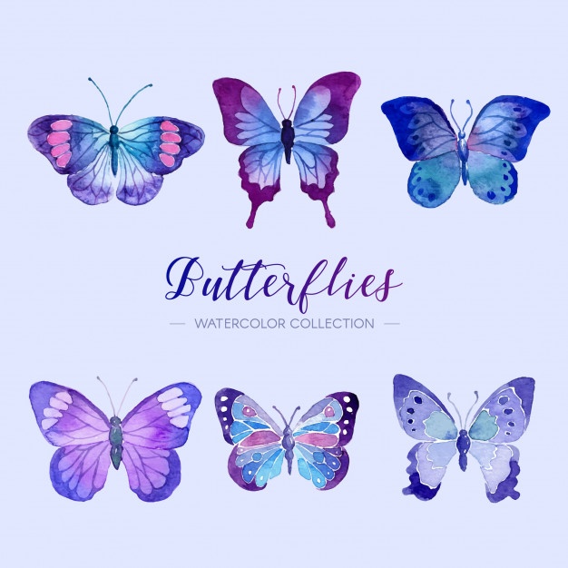 626x626 Butterfly Wings Vectors, Photos And Psd Files Free Download